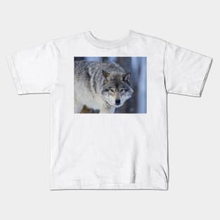 Gray Wolf Kids T-Shirt